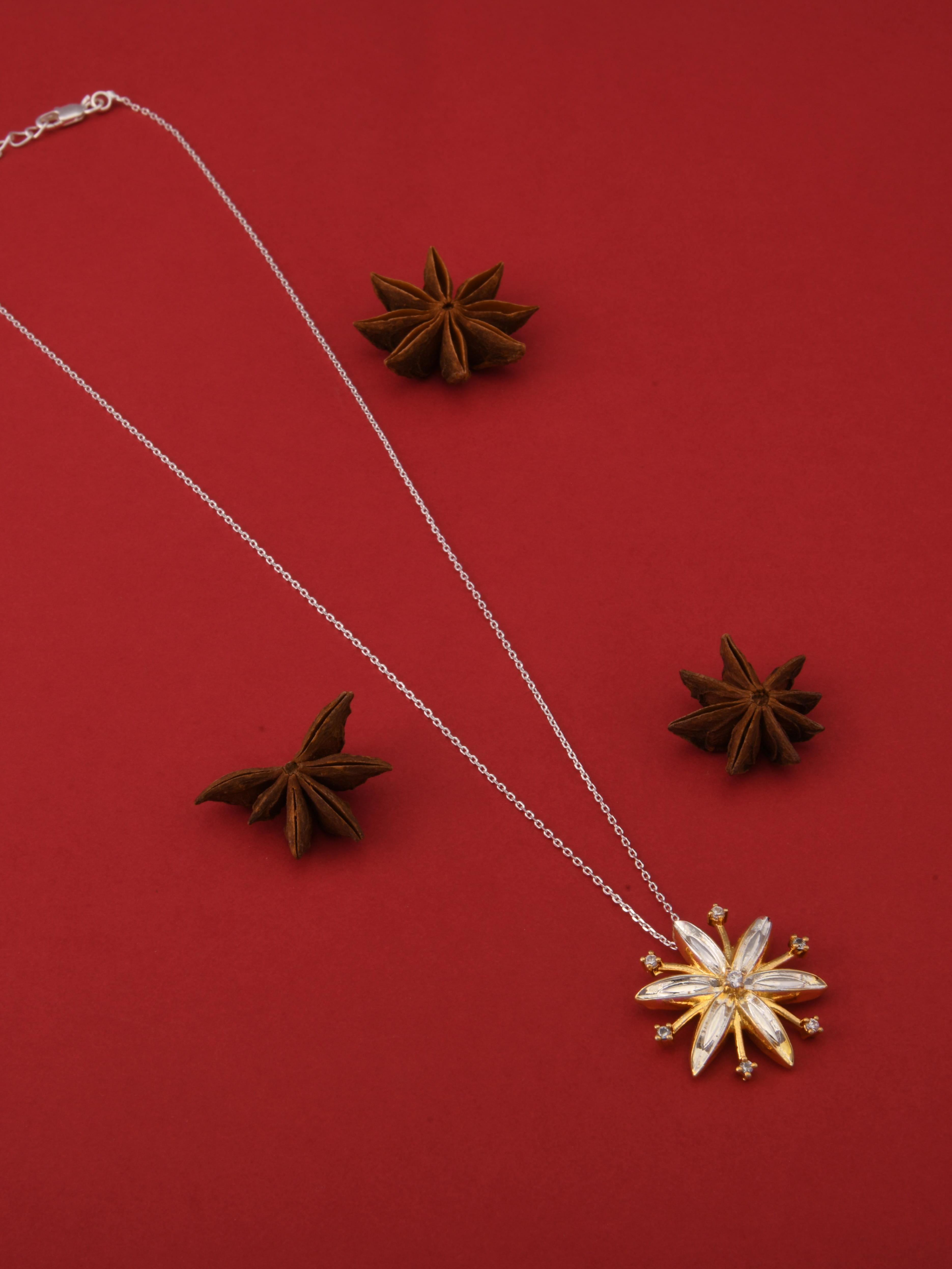 Star Anise Gold+Silver Spice Pendant Necklace