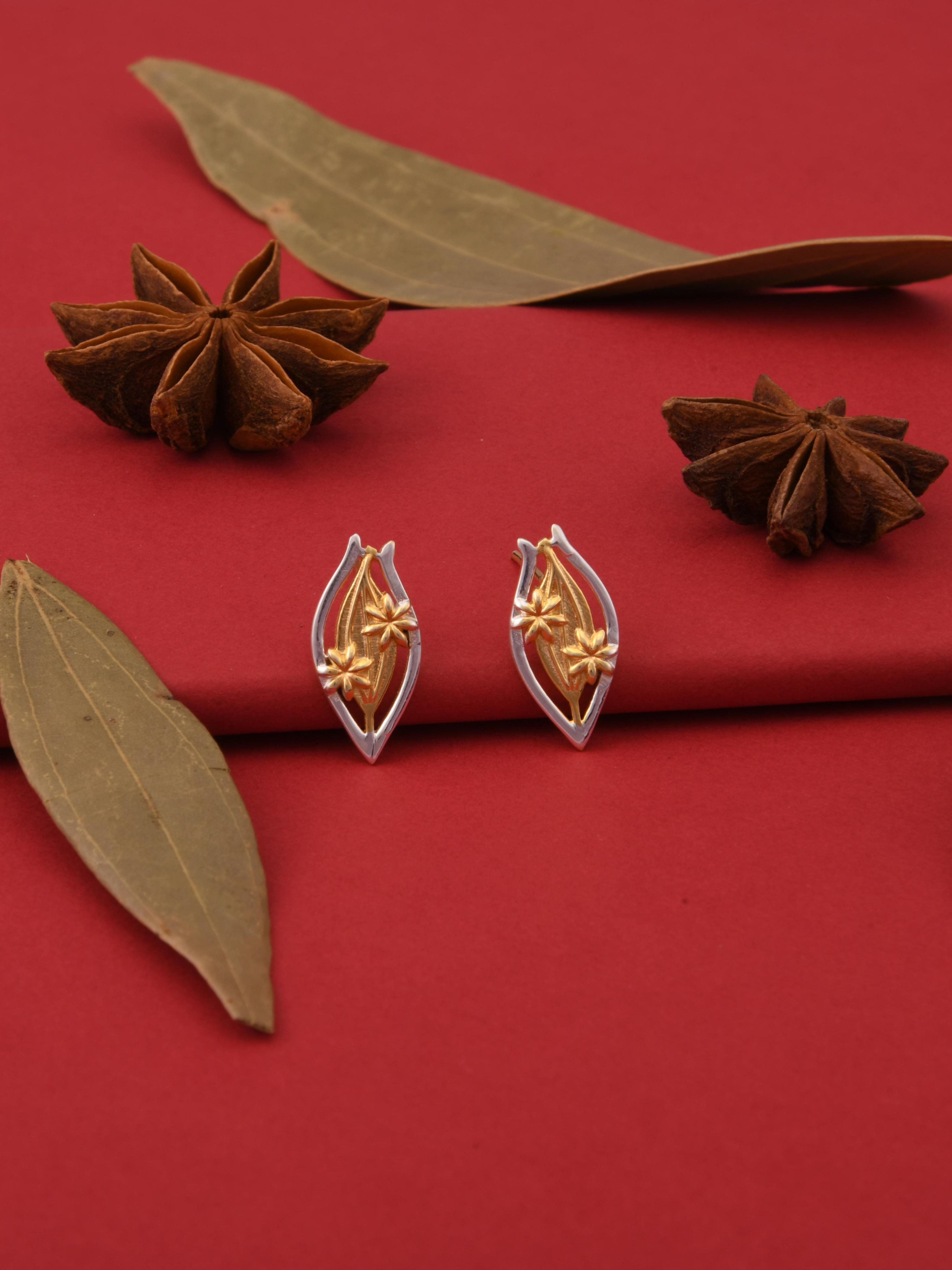 Bay Leaf & Star Anise Spice Earrings