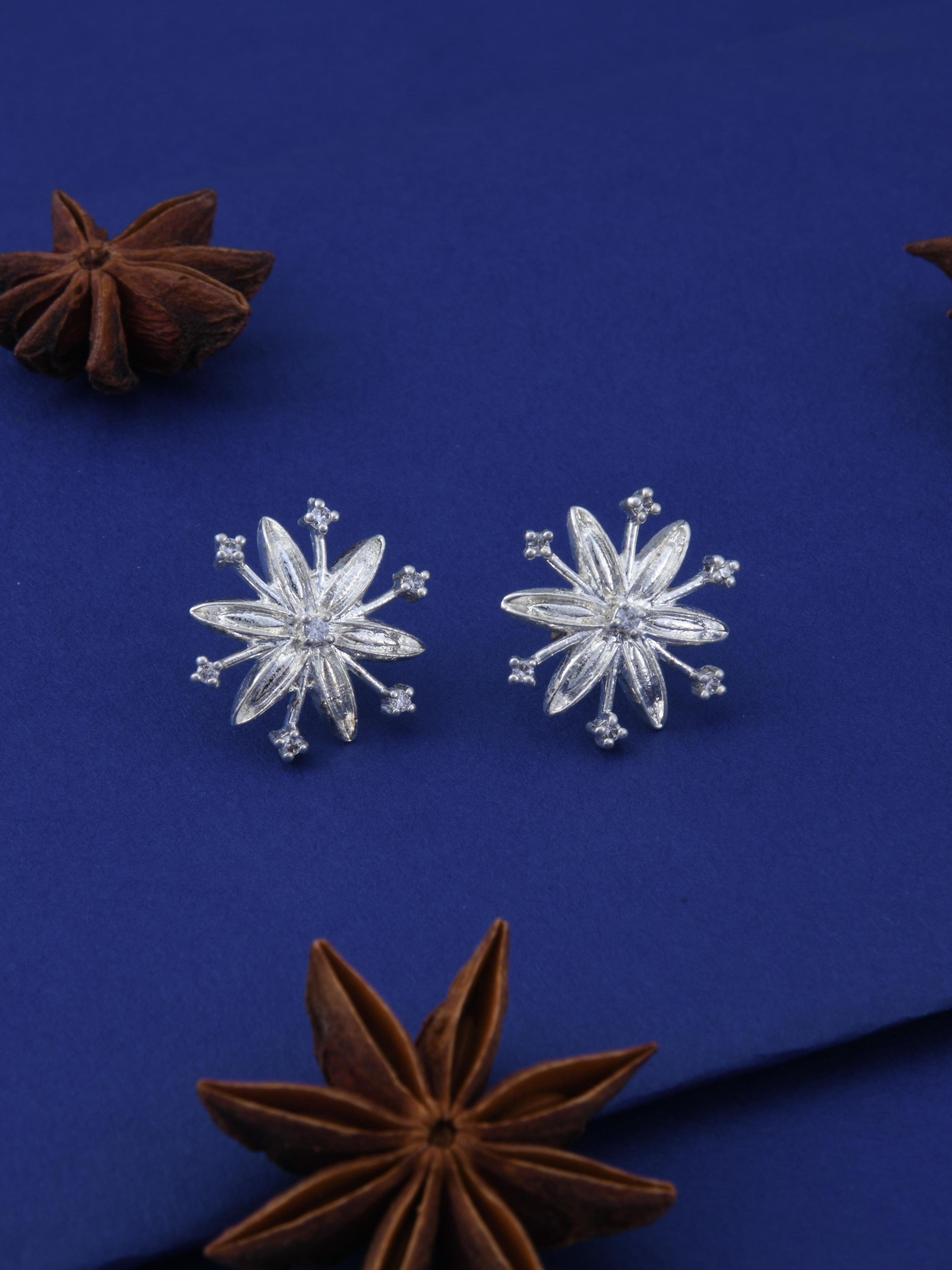 Star Anise Spice Earrings