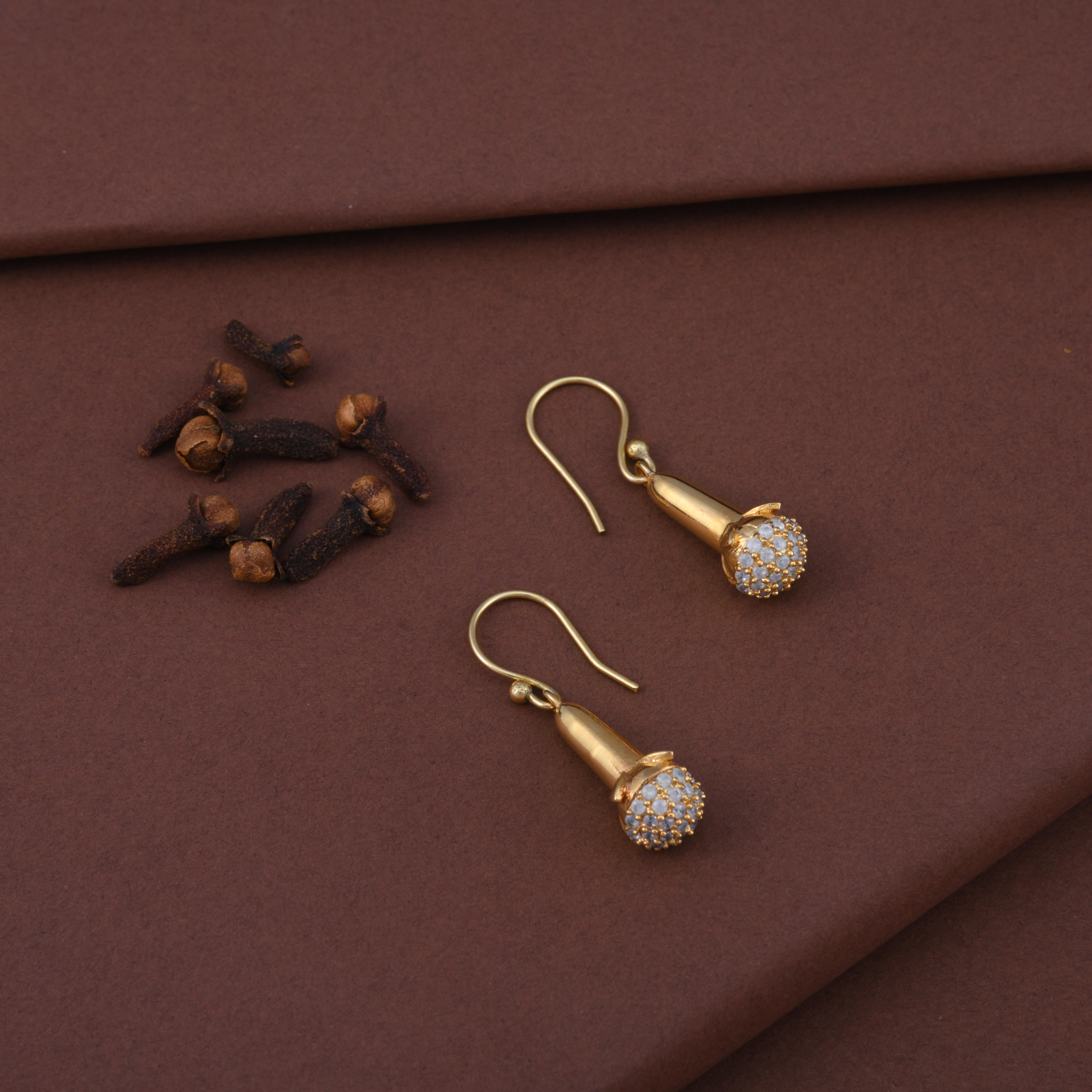 Cloves Gold Spice Earrings