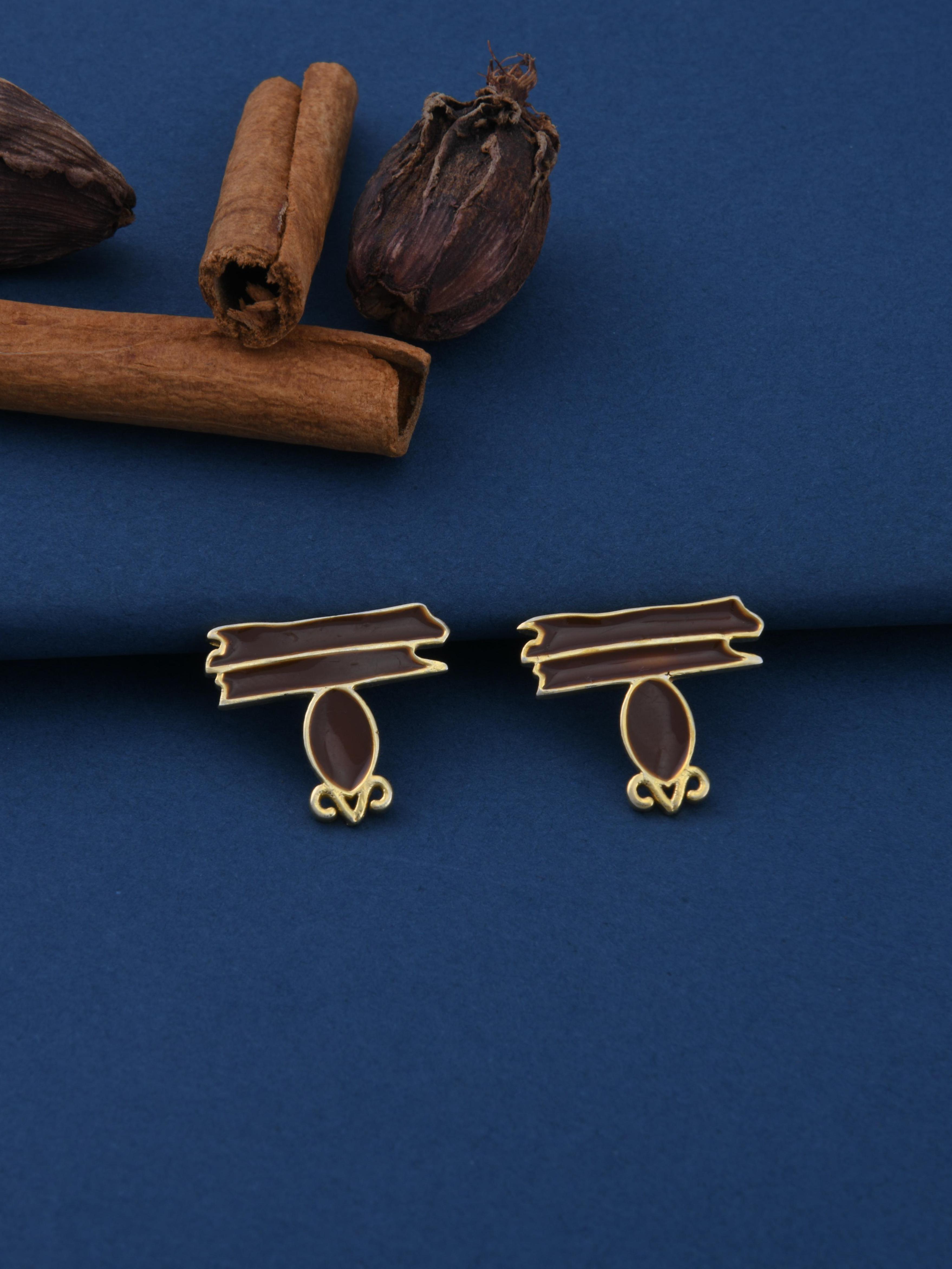Cinnamon & Cardamom Spice Earrings