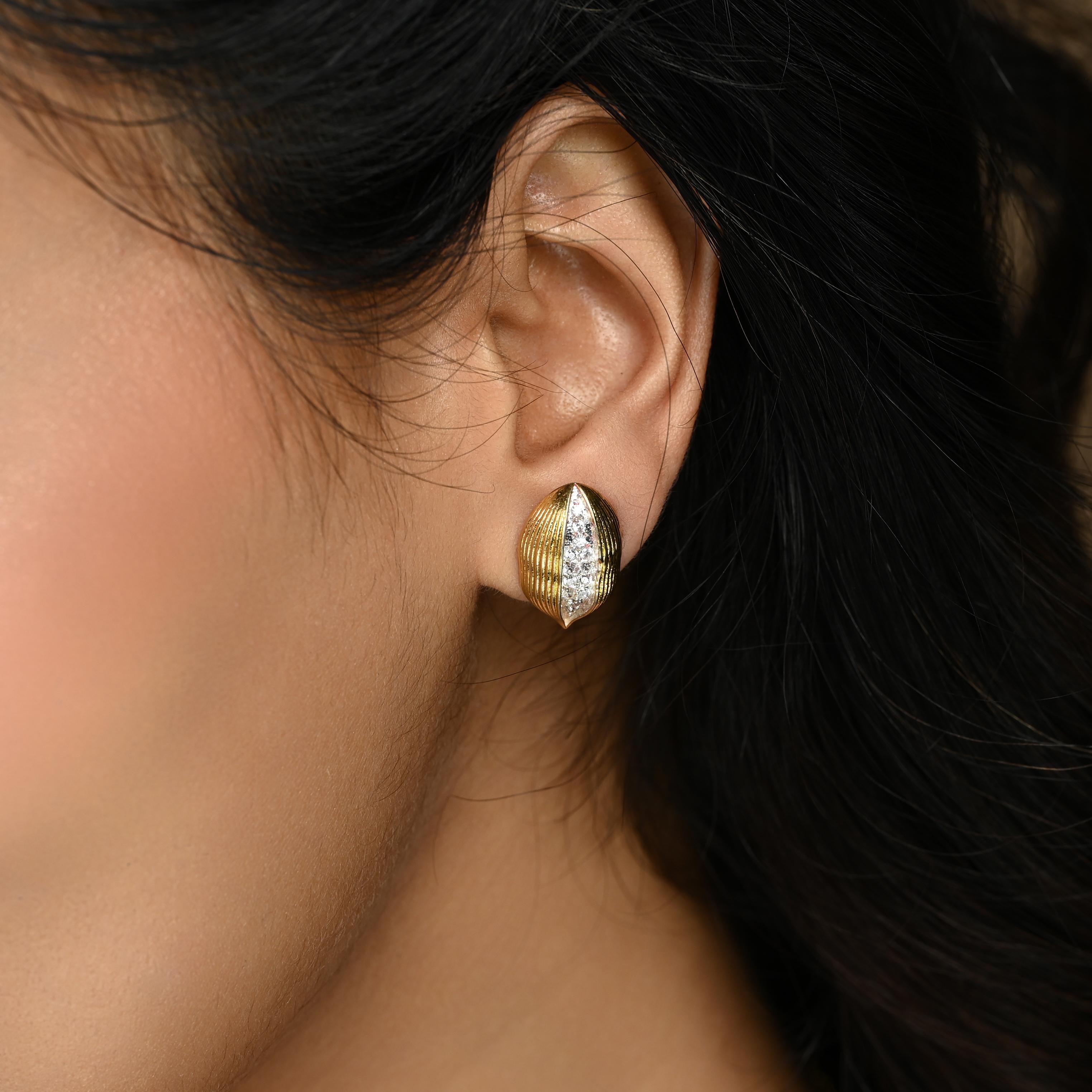 Cardamom Big Spice Earrings