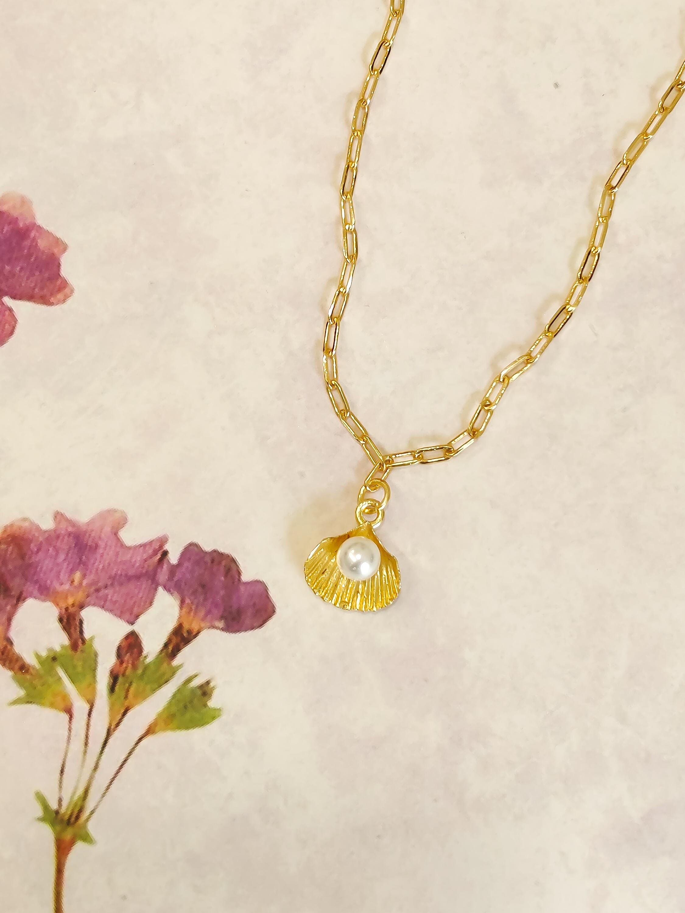 Shell Pearl Box Chain Necklace