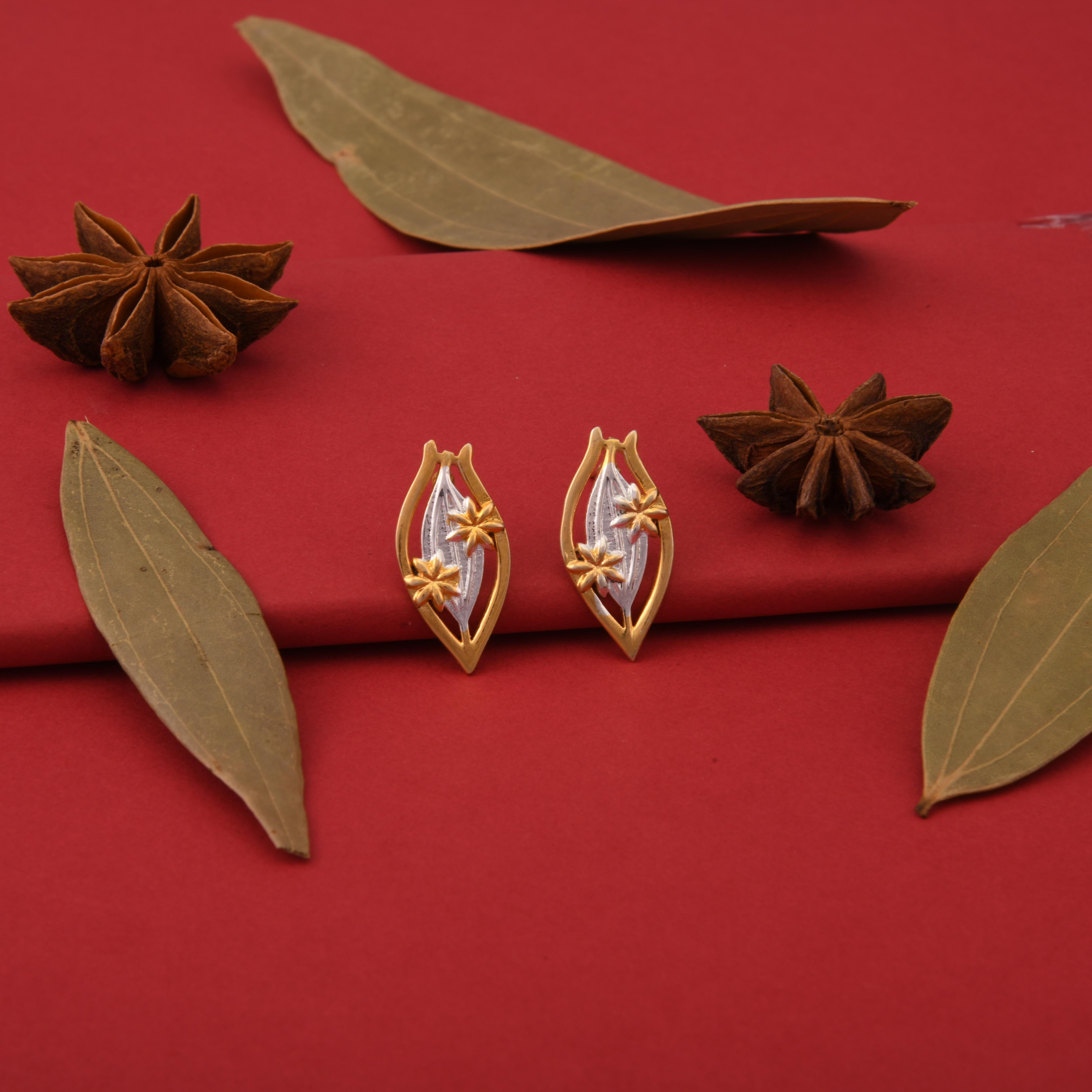 Bay Leaf & Star Anise Spice Earrings