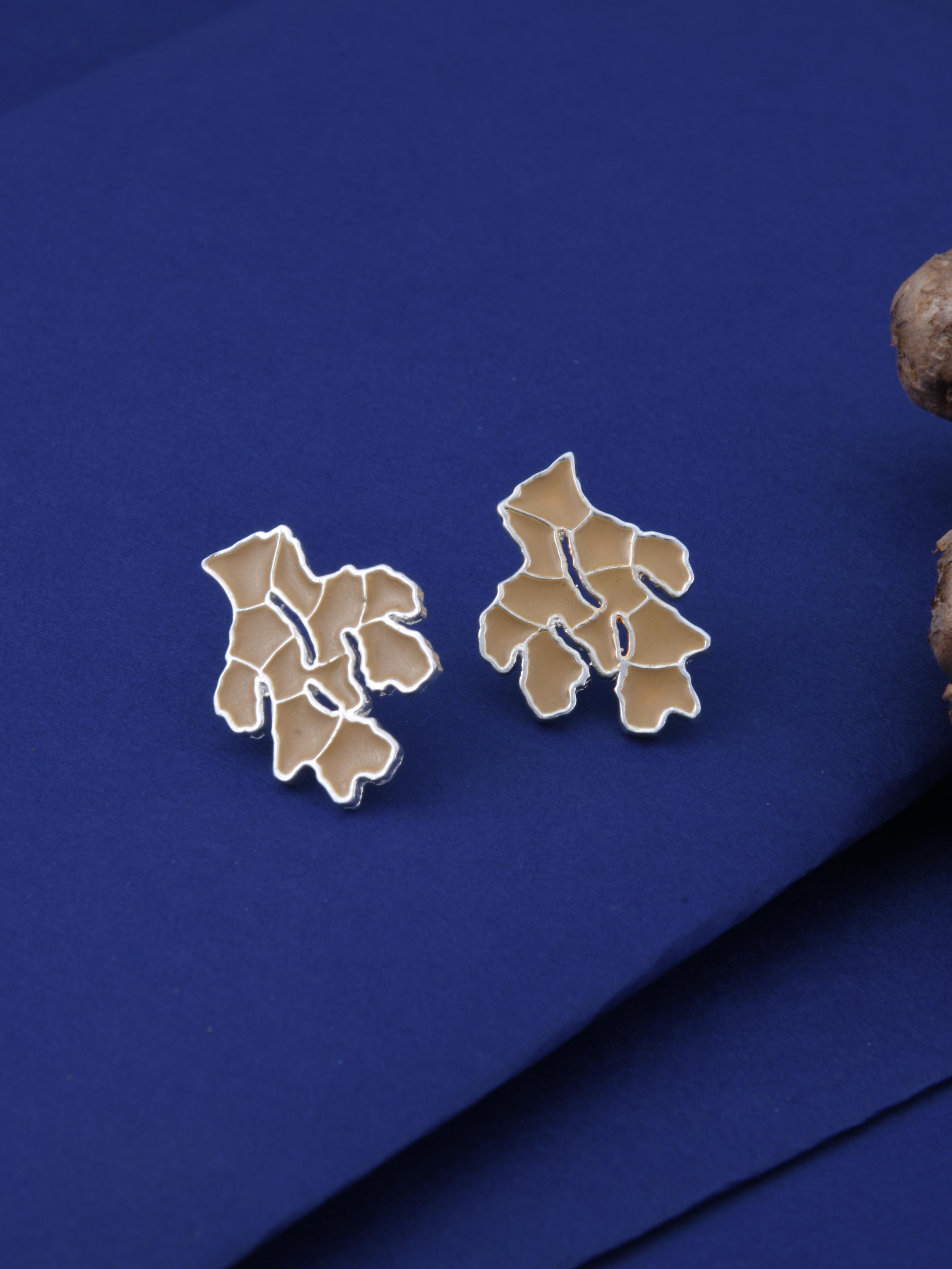 Ginger Enamel Paint Spice Earrings