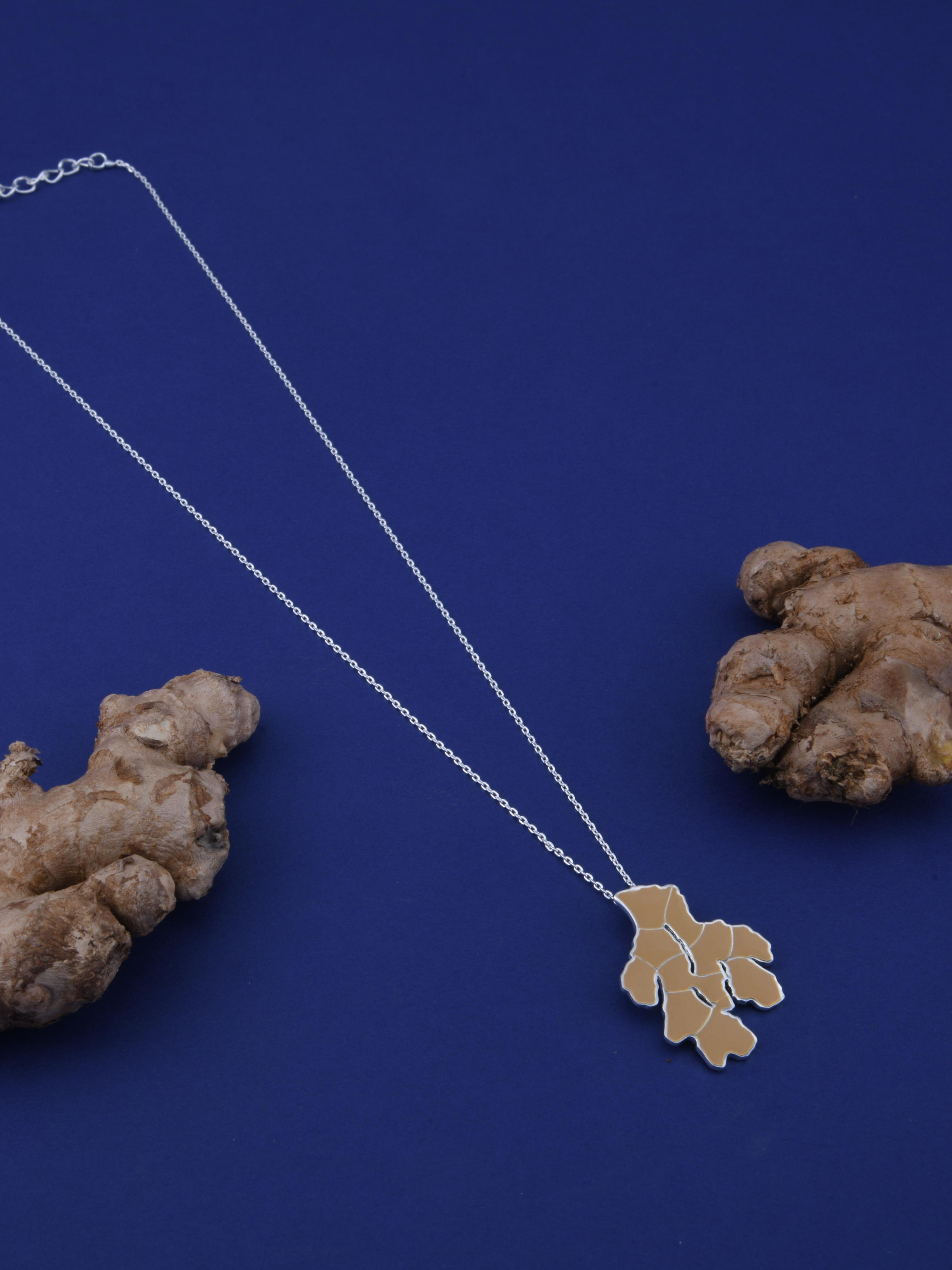 Ginger Enamel Paint Spice Pendant Necklace