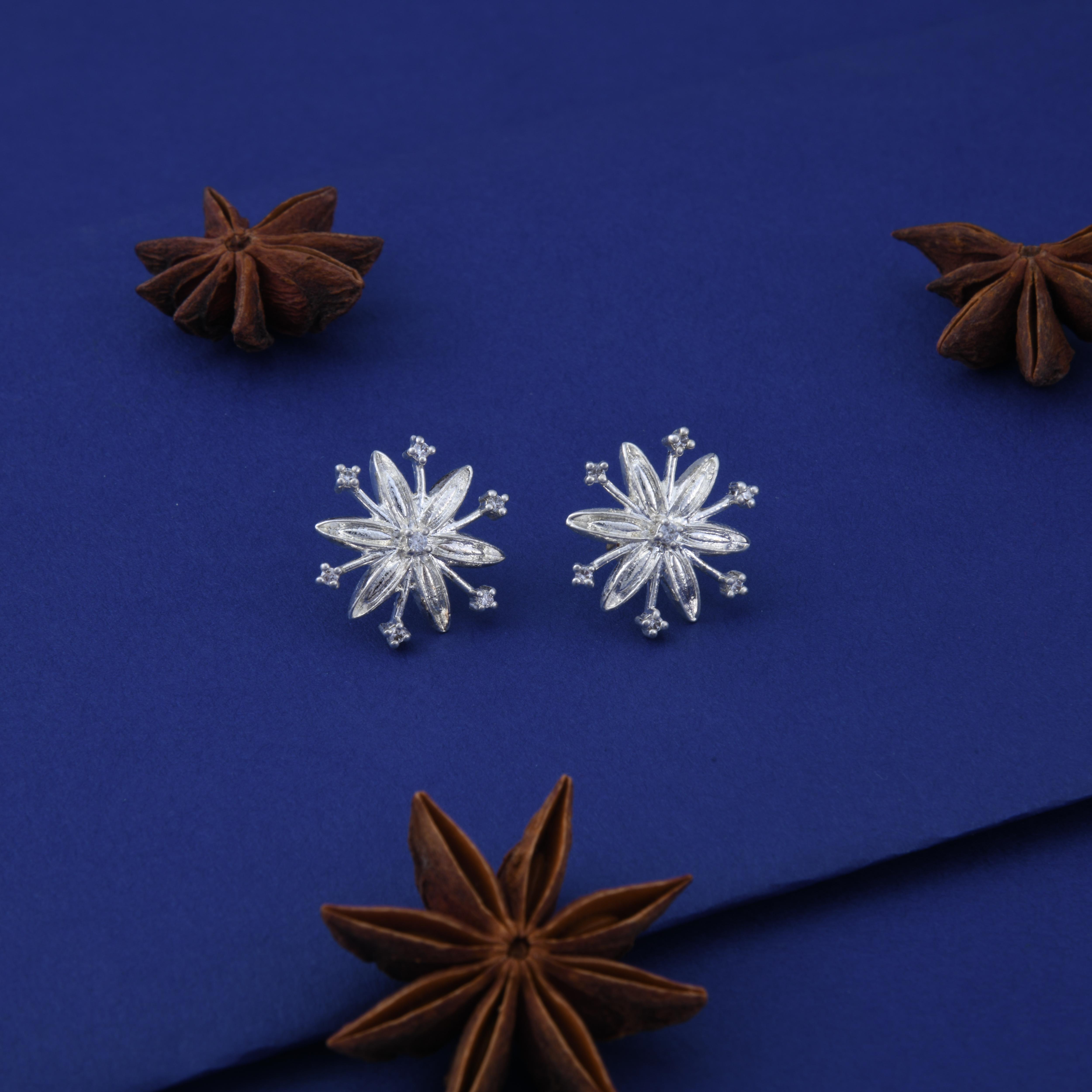 Star Anise Spice Earrings