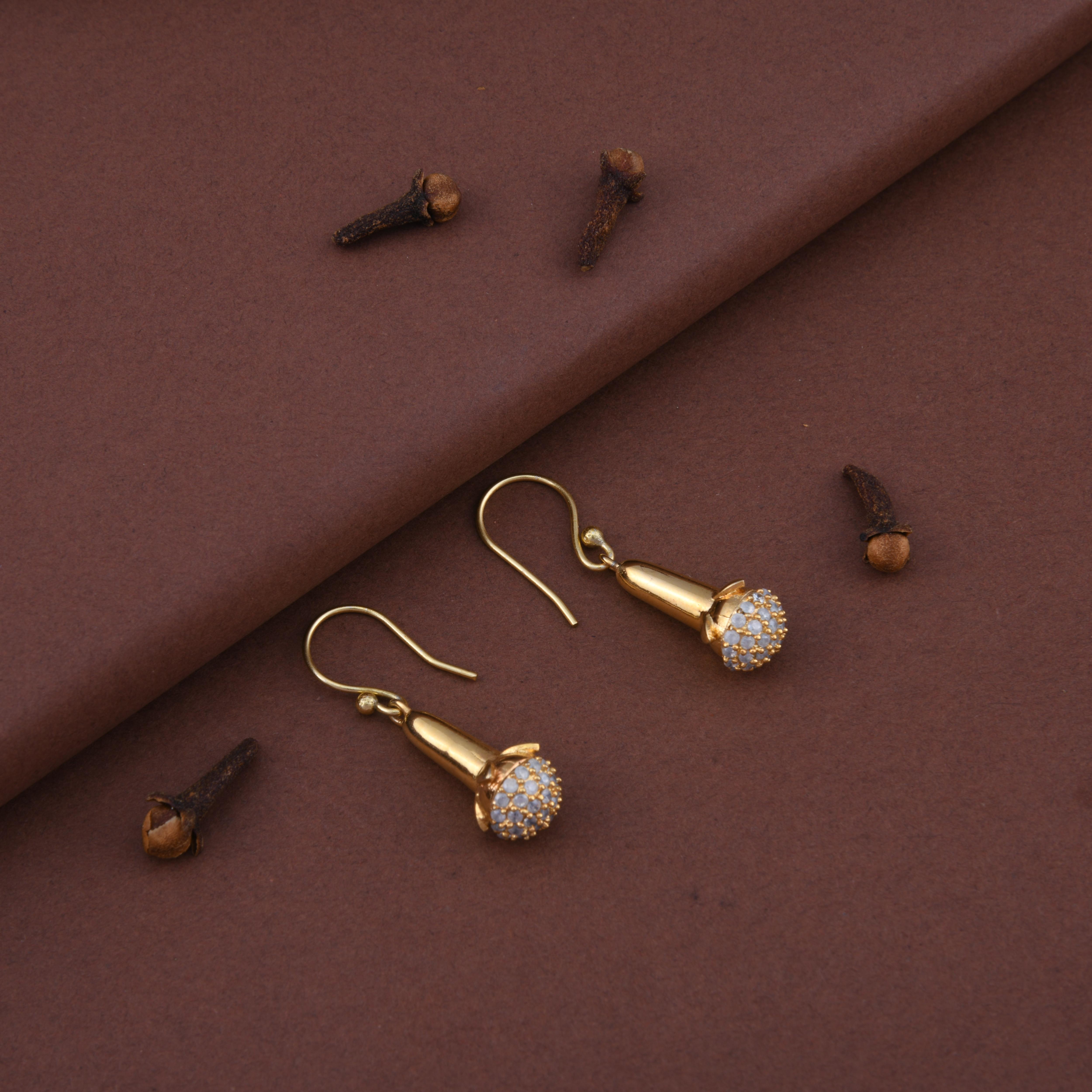 Cloves Gold Spice Earrings