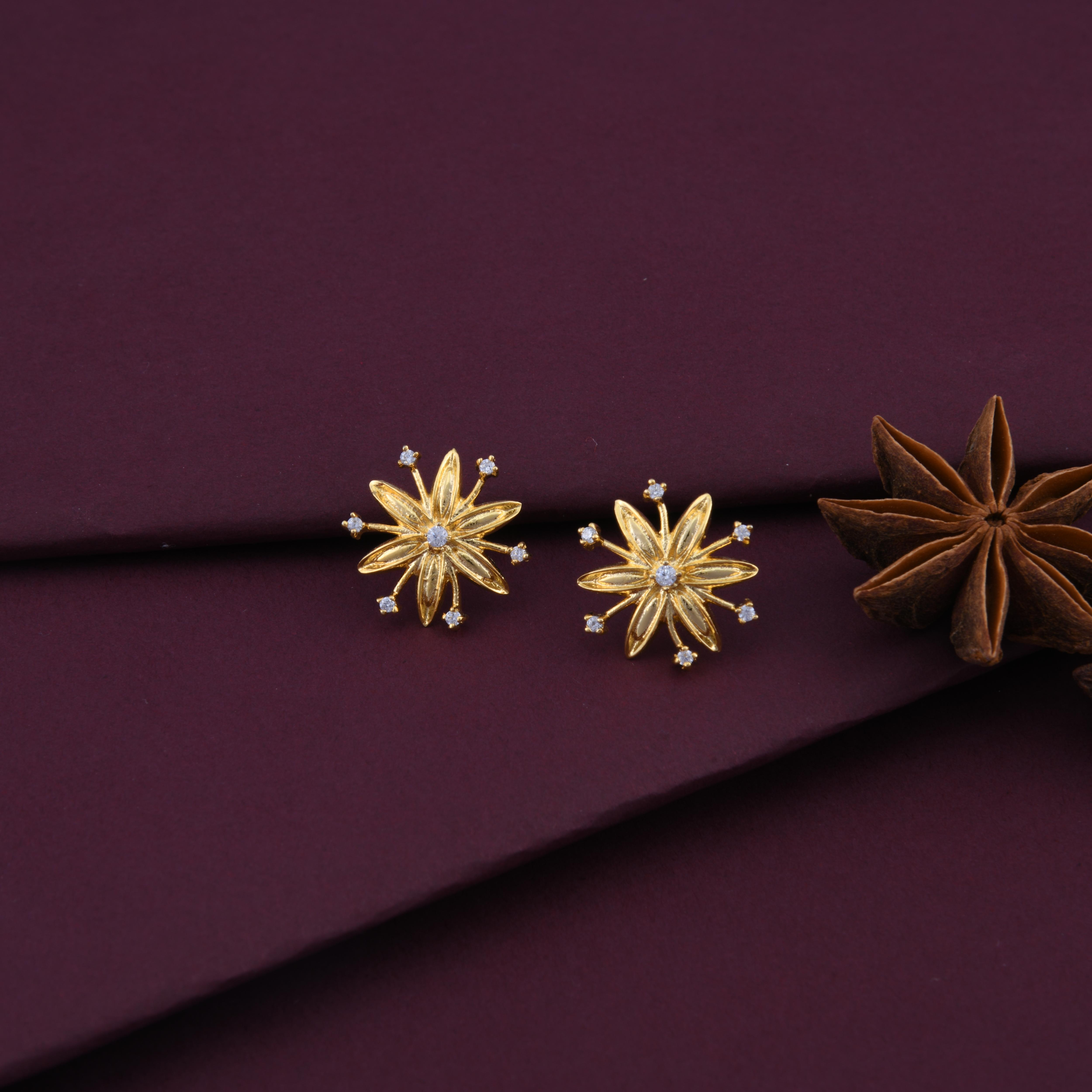 Star Anise Spice Earrings