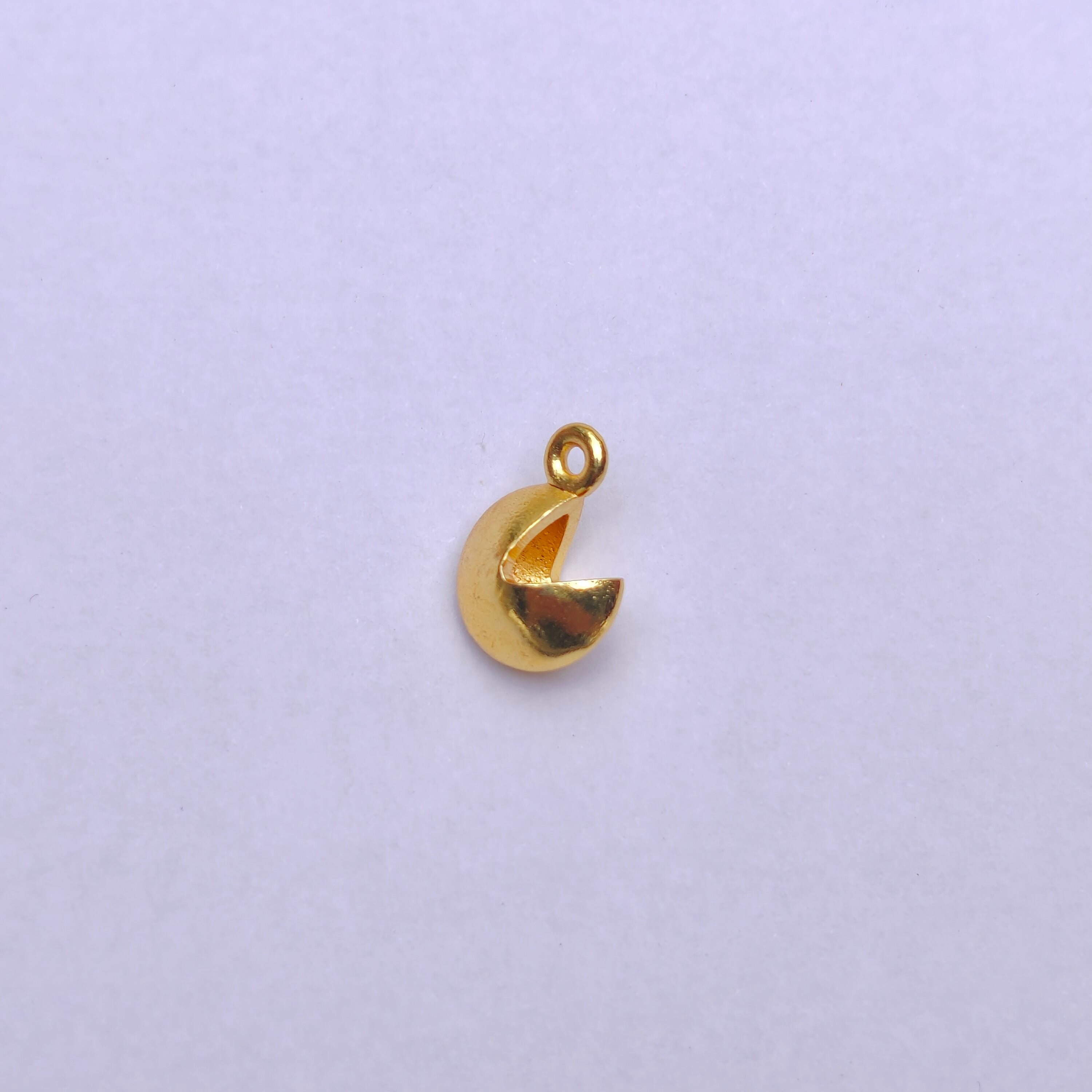 Fortune Charm