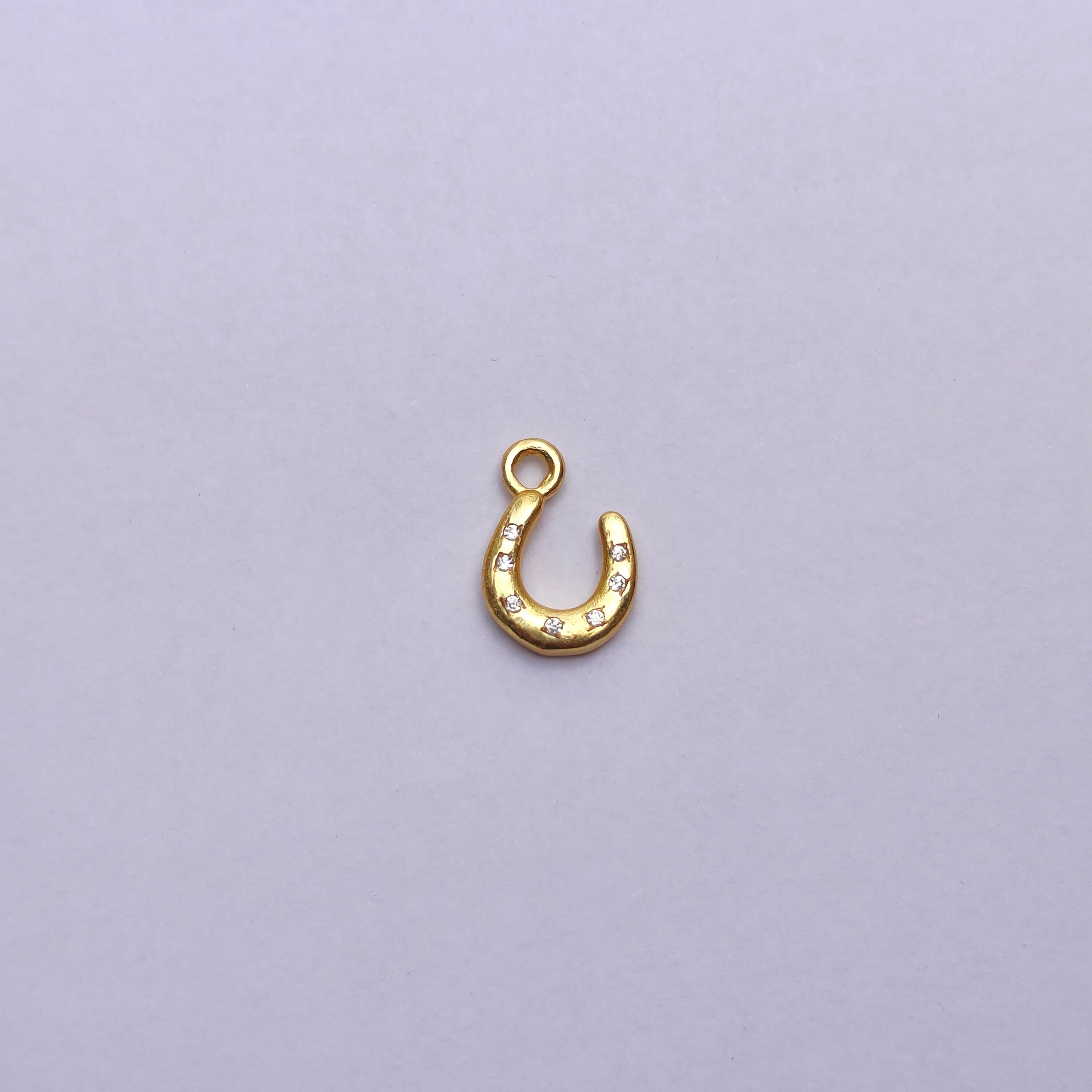 Horse Shoe Magnet Charm