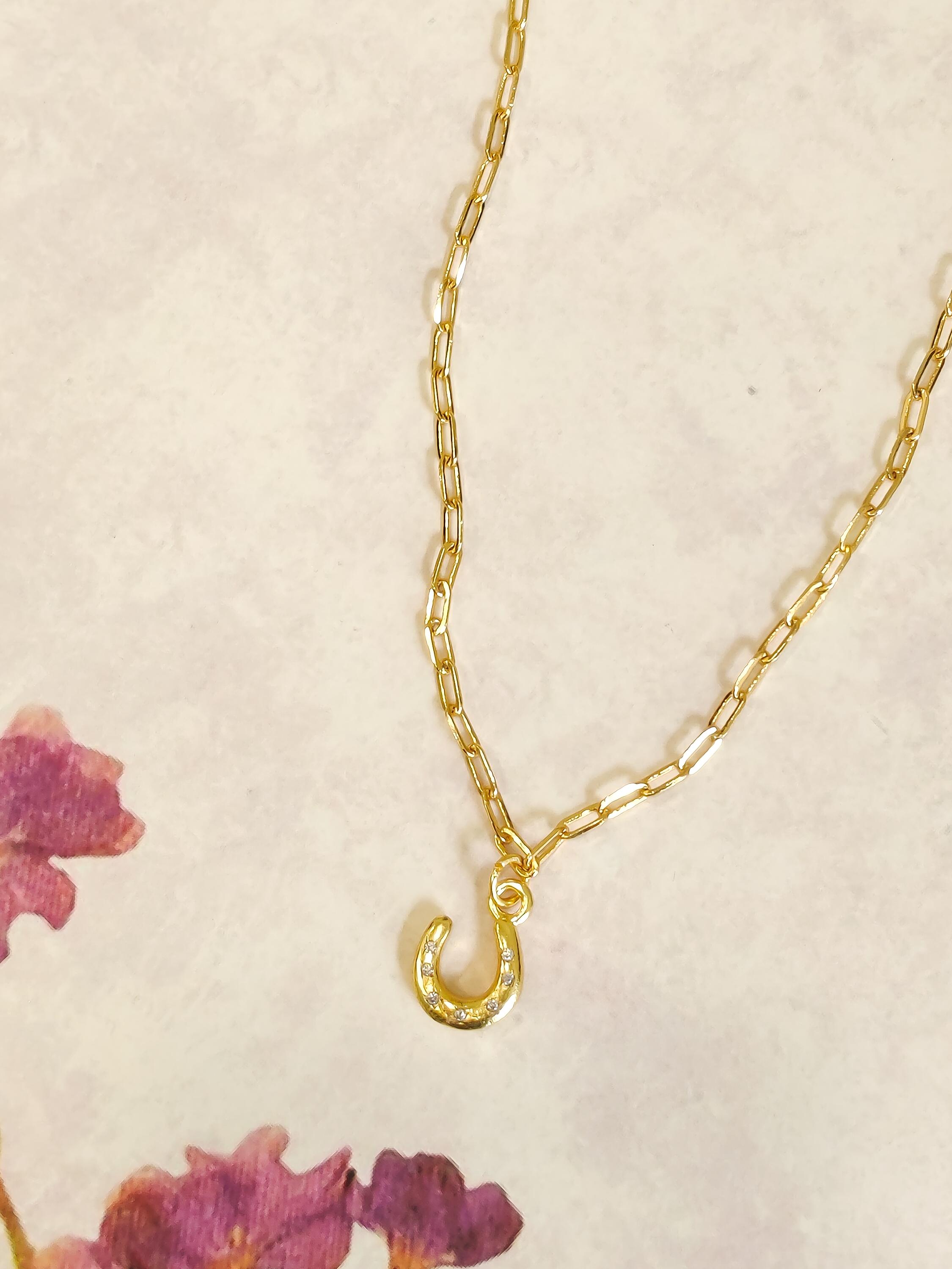 Horse Shoe Magnet Necklace